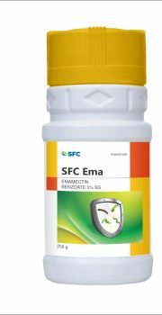 SFC EMA