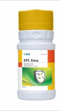 SFC EMA
